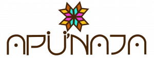Corporaci&oacute;n Tepiapa